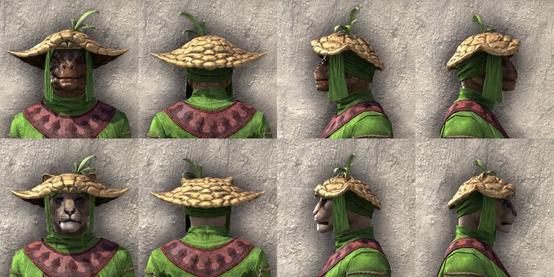 File:ON-item-armor-Shroomtender Beast Races.jpg