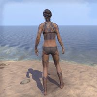 ON-body marking-Body Art of the Five Companions 03.jpg