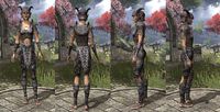 ON-item-armor-Iron-Bosmer-Female.jpg