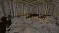 Thumbnail for version as of 07:07, 14 December 2024