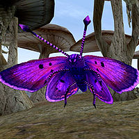 TR3-creature-Butterfly (purple).jpg