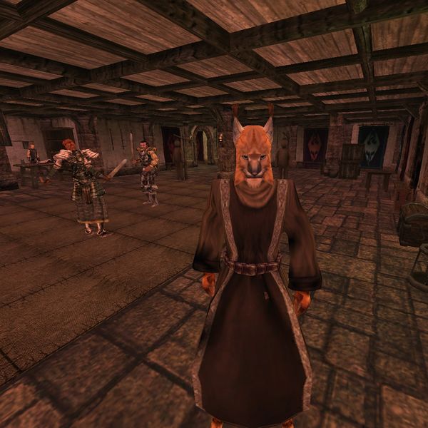 File:TR3-npc-Do'Mashirr.jpg