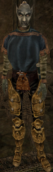 File:TR3-npc-Ralam Hlaan.png