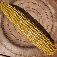 OBR-ingredient-Corn.jpg