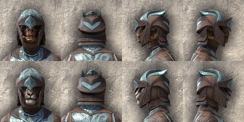 File:ON-item-armor-Glass Medium Beast Races.jpg