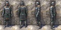 ON-item-armor-Silver Dawn Heavy Male.jpg