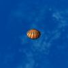 SRMOD-LOTD-tide-scallop shell-colorful.jpg