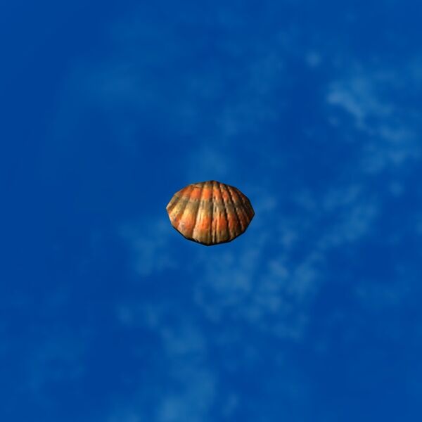 File:SRMOD-LOTD-tide-scallop shell-colorful.jpg