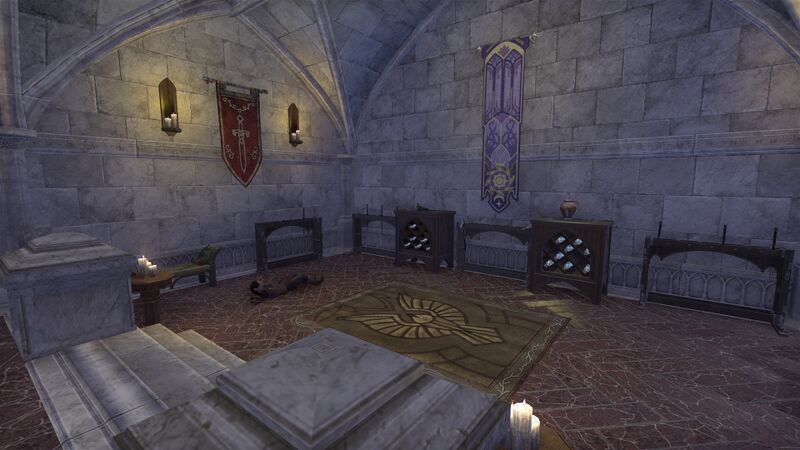File:ON-interior-Fighters Guild (Solstice) 06.jpg