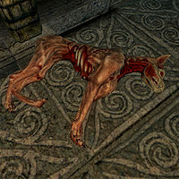 SI-creature-Ushnar's Skinned Hound.jpg