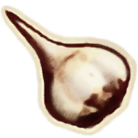 OBR-icon-ingredient-Garlic.png
