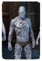 ON-card-Mirrorweb of Memories Body Art.png
