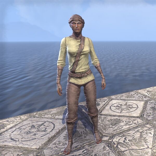 File:ON-costume-Hollow Moon Garb (female).jpg