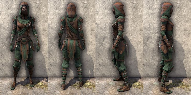 File:ON-item-armor-Outlaw Light Female.jpg