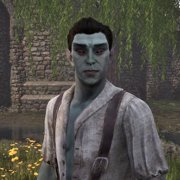 File:OBR-npc-Aldos Othran 02.jpg