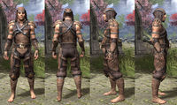 ON-item-armor-Hide-Bosmer-Male.jpg