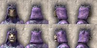 ON-item-armor-Storm Lord Light Beast Races.jpg