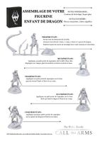 CTA-model-Instructions Enfant de Dragon triomphant.pdf.jpg