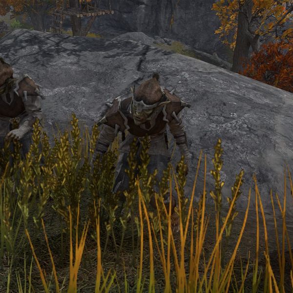 File:ON-npc-Bitterfish Berserker (quest).jpg