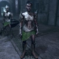 OBR-npc-Grakedrig Ulfri.jpg