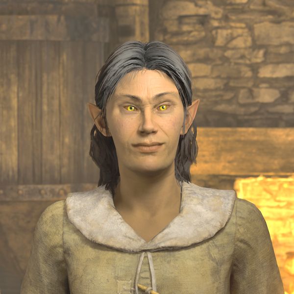 File:OBR-npc-Nilawen 02.jpg