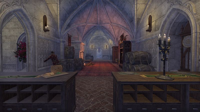 File:ON-interior-Fighters Guild (Solstice) 02.jpg