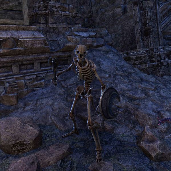 File:ON-npc-Skeletal Savage.jpg