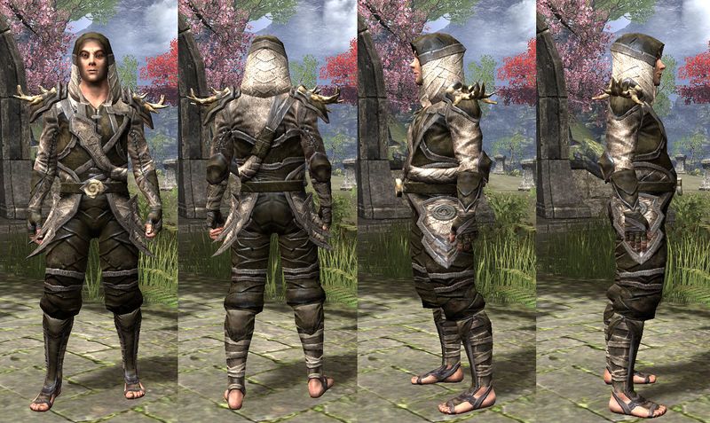 File:ON-item-armor-Wood Elf Light Jerkin 3 Male.jpg