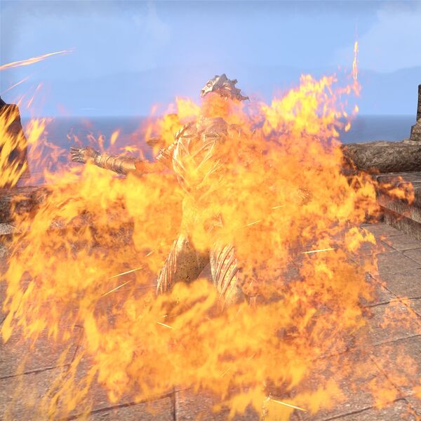 File:ON-polymorph-Time's Herald Living Armor 04.jpg