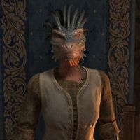 OBR-npc-Mach-Na 02.jpg