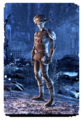 Thumbnail for version as of 01:47, 22 January 2019