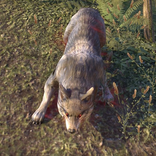 File:ON-creature-Wolf 04.jpg