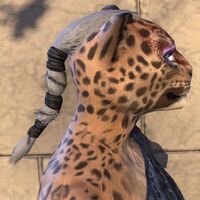ON-hairstyle-Crest with Pony Braid 02.jpg