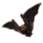 ON-icon-pet-Brown Steeple Bat.png