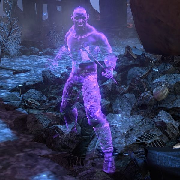 File:ON-npc-Begnar (hostile).jpg