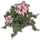 ON-icon-furnishing-Plant, Star Blossom.png