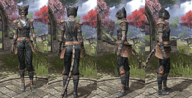 File:ON-item-armor-Khajiit Light Jerkin 2 Female.jpg