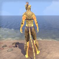 ON-skin-Blaze of Akatosh (Khajiit) 03.jpg