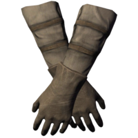 BS5C-icon-armor-BrumaGuardsGloves.png