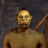 OBR-npc-Shagrol gro-Uzug.jpg