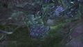 Thumbnail for version as of 01:22, 9 June 2025