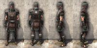ON-item-armor-Imperial Medium 2 Male.jpg