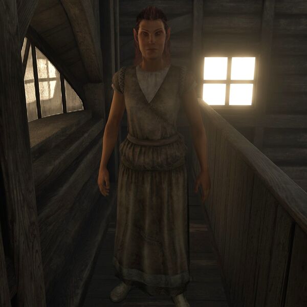 File:OBR-npc-Karinnarre.jpg