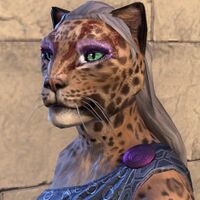 ON-hairstyle-Dominion War-Locks (Khajiit).jpg