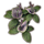 ON-icon-furnishing-Plant, Thorny Swamp Lily.png