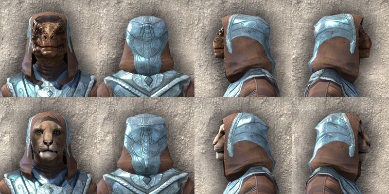 File:ON-item-armor-Glass Light Beast Races.jpg