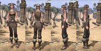 ON-item-armor-Rawhide-Nord-Female.jpg