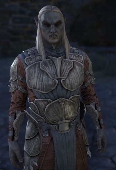 File:ON-npc-Oathman Llaro.jpg