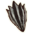 OBR-icon-armor-DarkSeducerShield.png