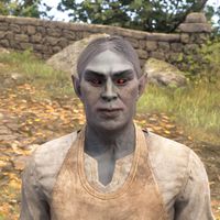 OBR-npc-Eronor 02.jpg